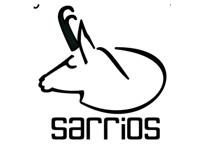 CLUB DE MONTAÑA SARRIOS ZARAGOZA 20077