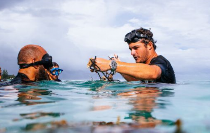 Conservación de los mares para surfear mejores olas